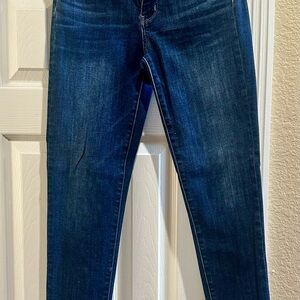 American Eagle Outfitters Dark Blue Skinny Jeans